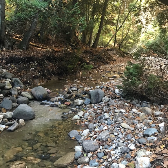 Make me an offer - Picture 1 of 1